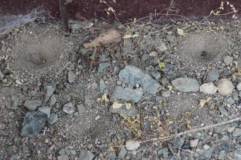 ファイル 120-1.jpg