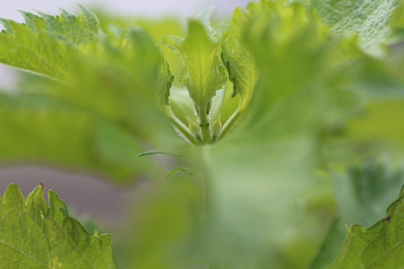 ファイル 120-3.jpg