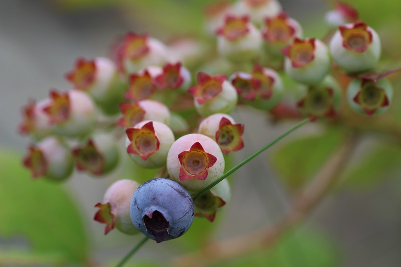 ファイル 120-6.jpg