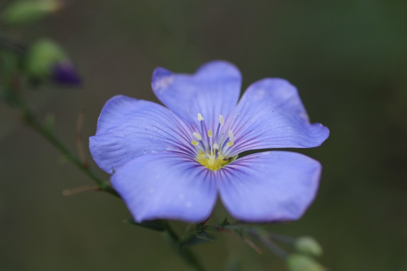 ファイル 120-7.jpg