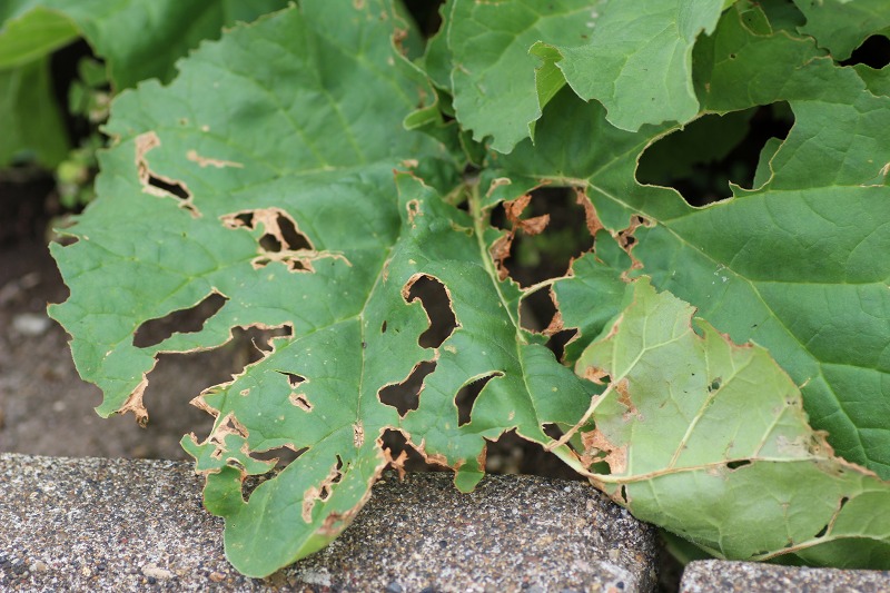 ファイル 120-8.jpg