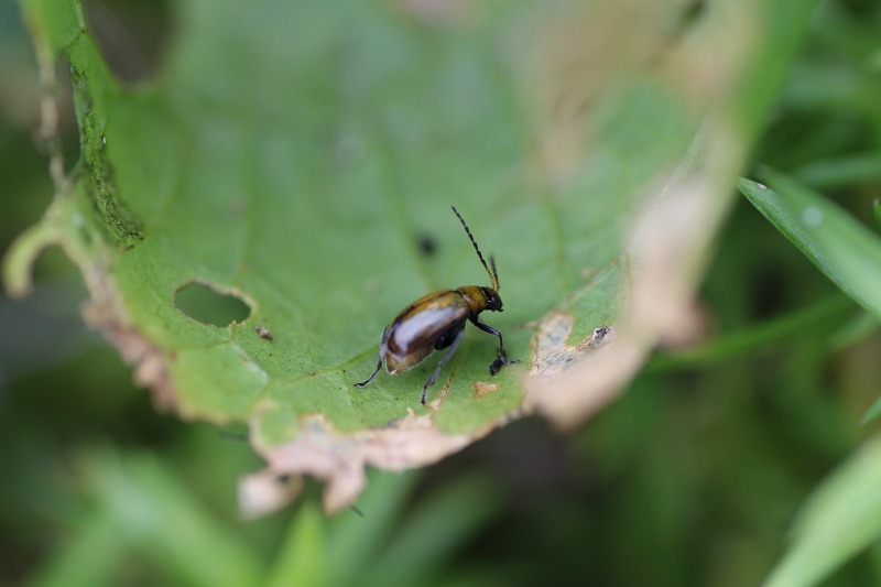 ファイル 120-9.jpg