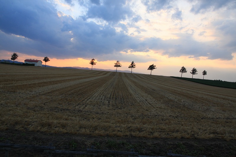 ファイル 121-3.jpg