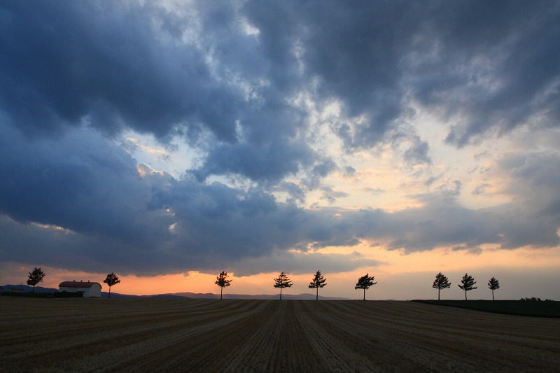 ファイル 121-4.jpg