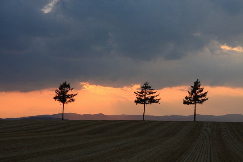 ファイル 121-5.jpg