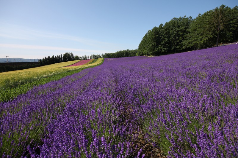 ファイル 123-4.jpg