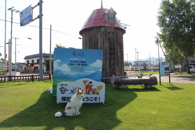 ファイル 124-1.jpg