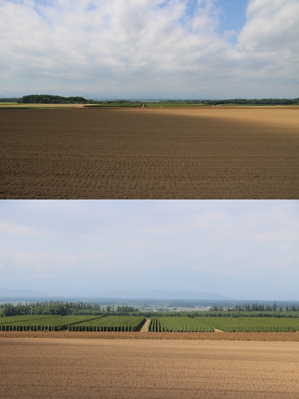 ファイル 124-6.jpg