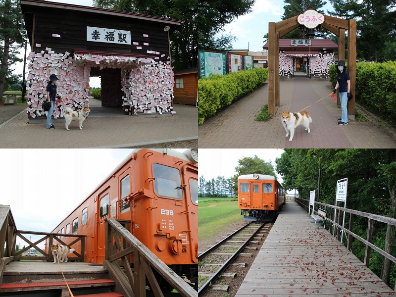 ファイル 125-3.jpg