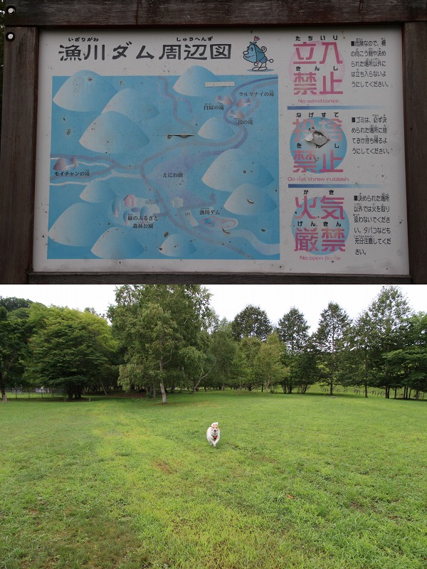 ファイル 127-2.jpg