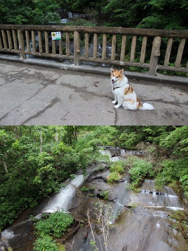 ファイル 127-4.jpg