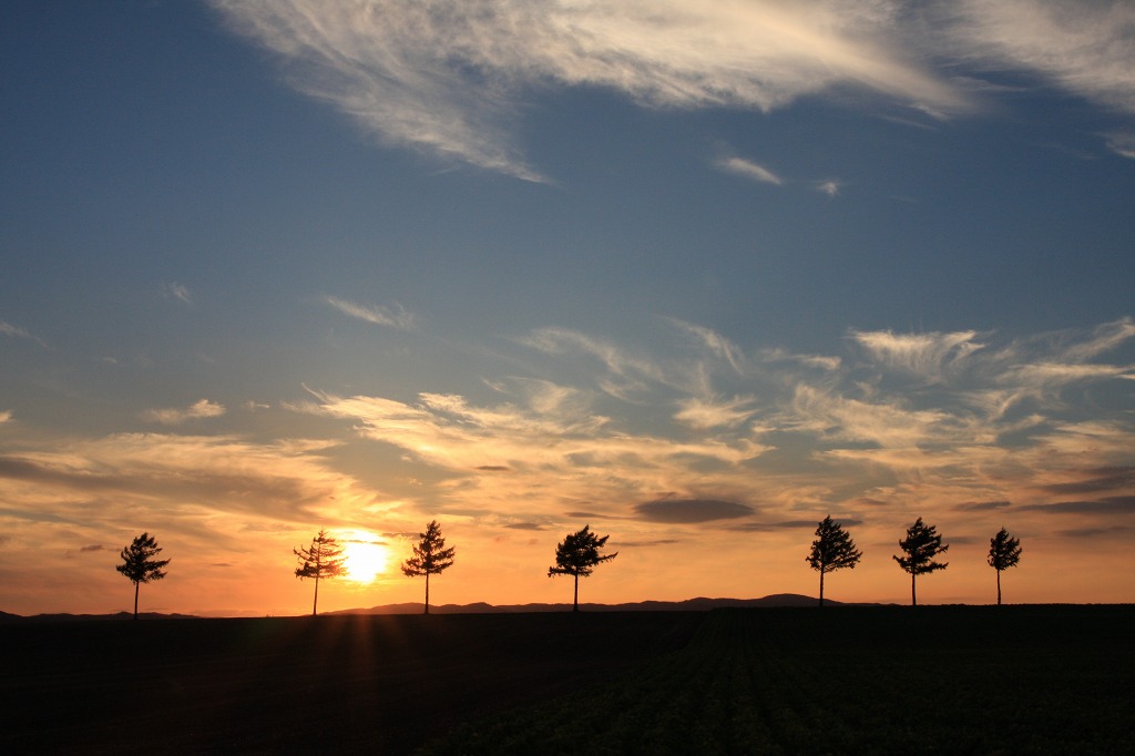 ファイル 128-1.jpg