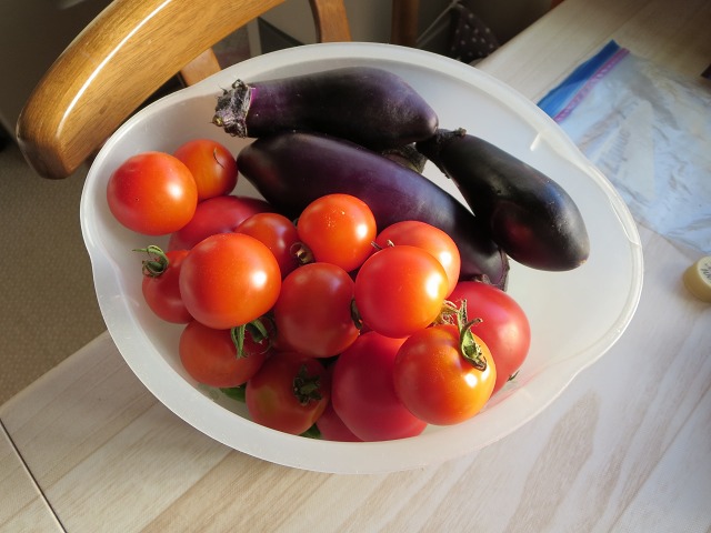 ファイル 128-4.jpg