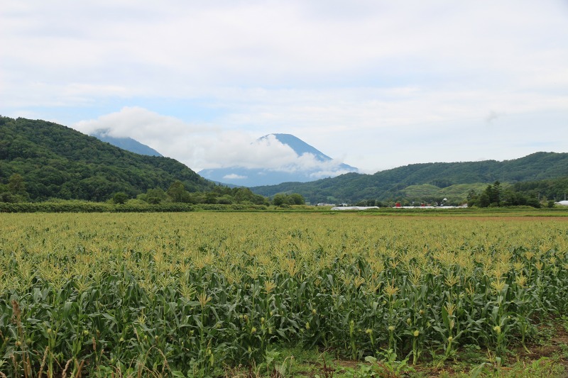 ファイル 129-4.jpg