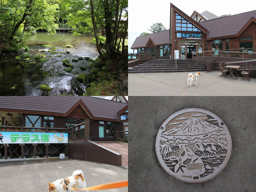 ファイル 129-9.jpg