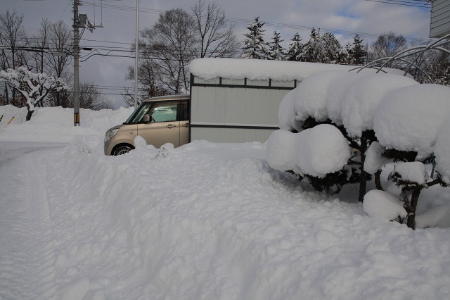 ファイル 13-1.jpg