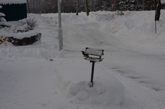 ファイル 13-8.jpg