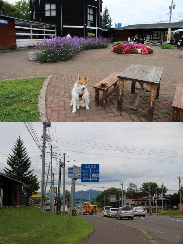 ファイル 130-3.jpg