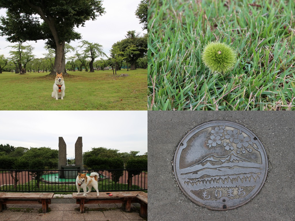 ファイル 130-6.jpg