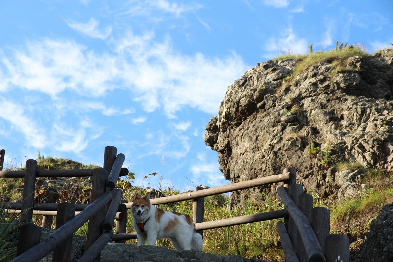 ファイル 131-7.jpg