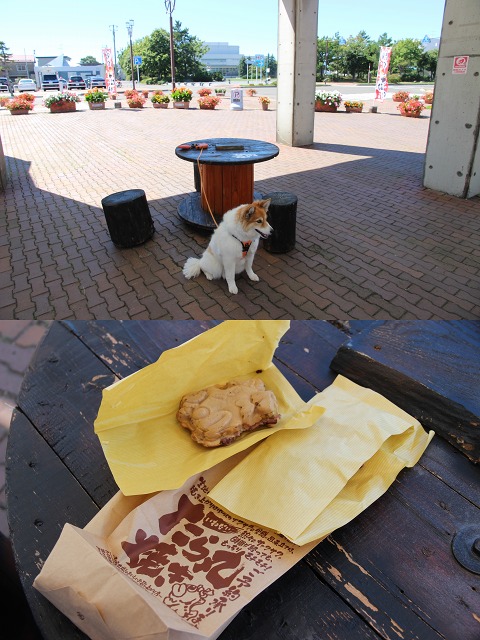 ファイル 133-6.jpg