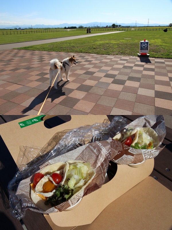 ファイル 133-8.jpg