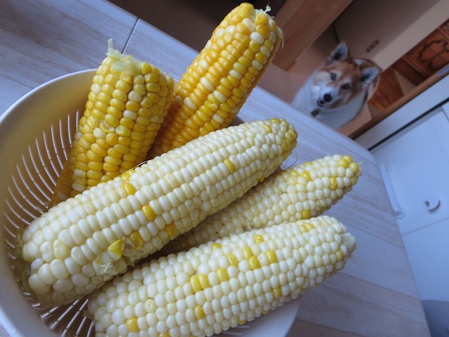 ファイル 134-8.jpg