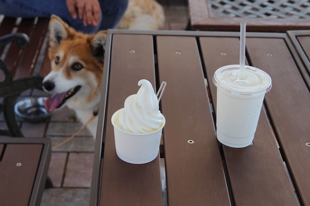 ファイル 134-9.jpg