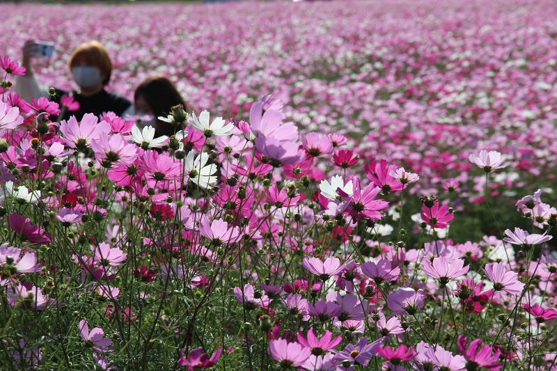 ファイル 136-4.jpg