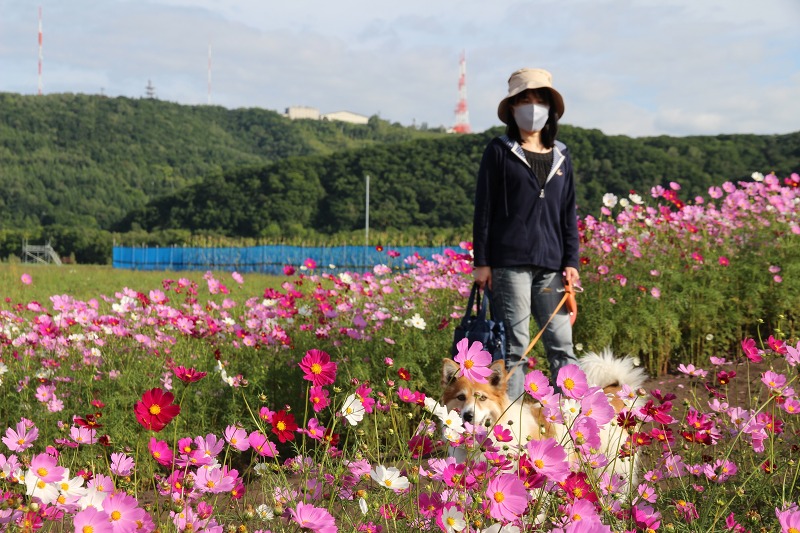 ファイル 136-5.jpg