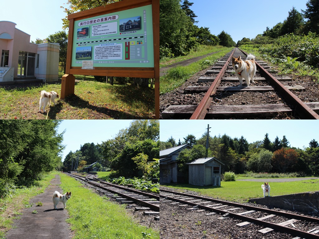 ファイル 137-8.jpg