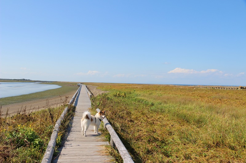 ファイル 138-2.jpg