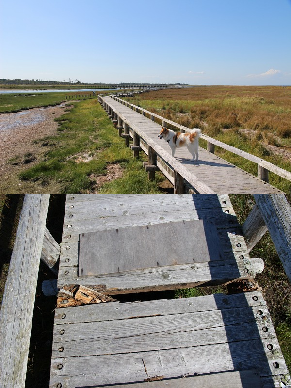 ファイル 138-3.jpg