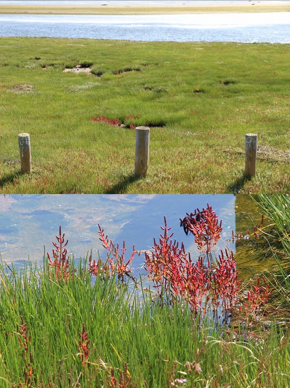 ファイル 138-4.jpg