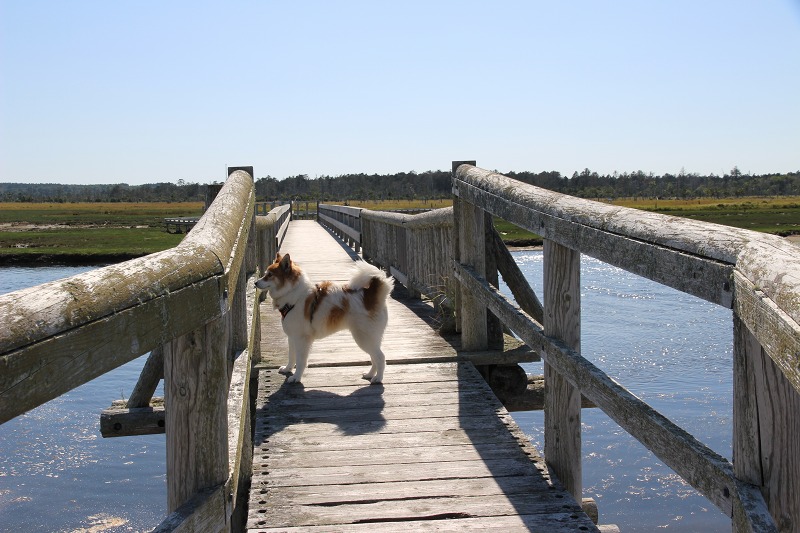 ファイル 138-5.jpg