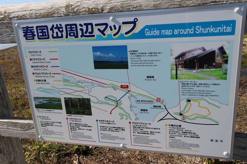 ファイル 138-6.jpg