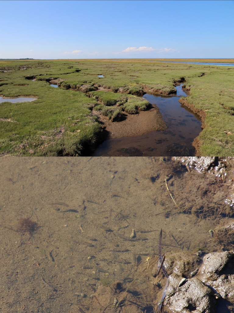 ファイル 138-7.jpg