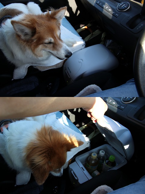 ファイル 139-5.jpg