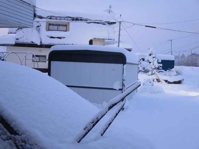 ファイル 14-1.jpg