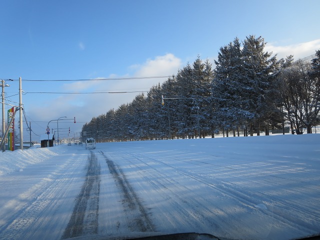 ファイル 14-7.jpg