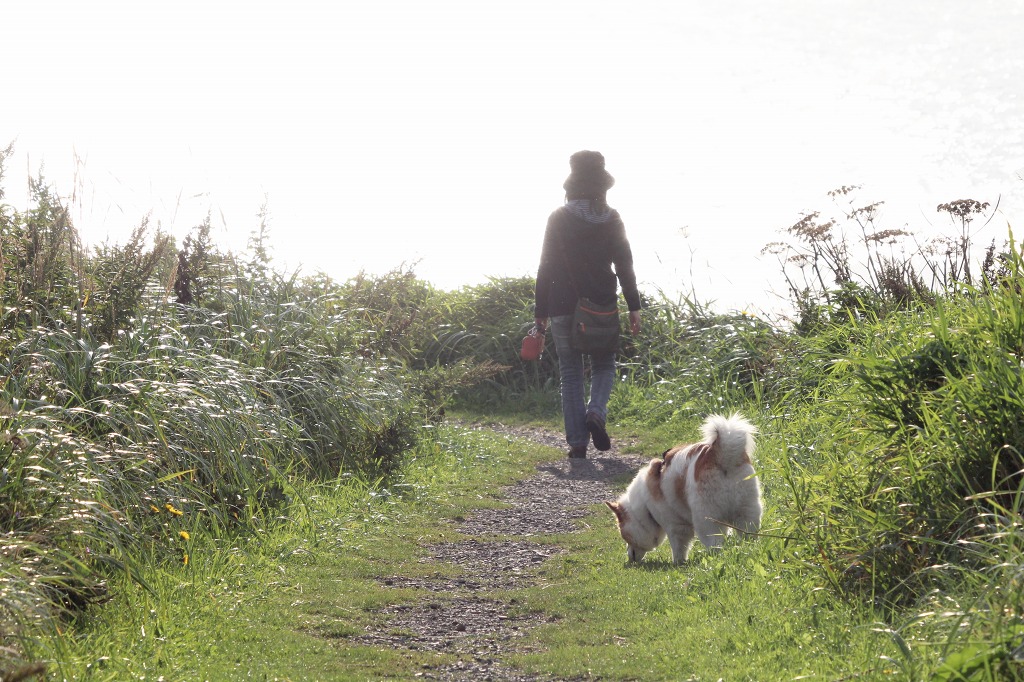 ファイル 140-3.jpg