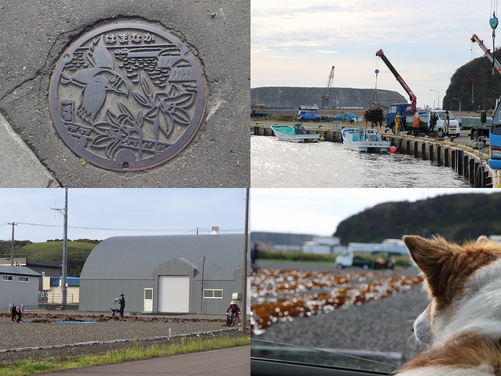 ファイル 141-1.jpg