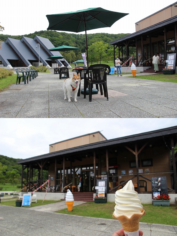 ファイル 141-6.jpg