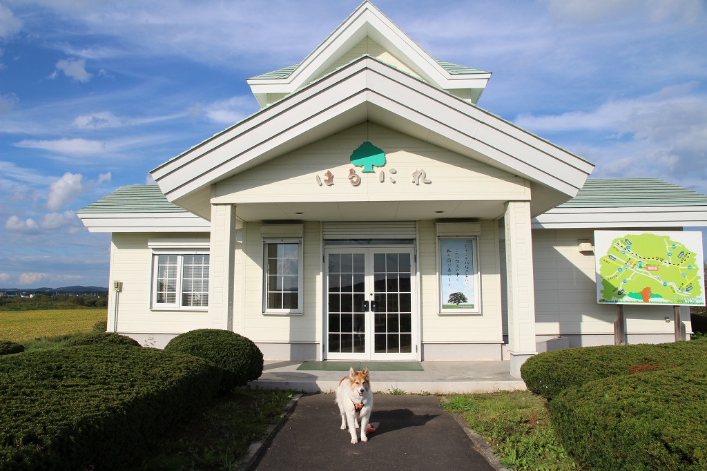 ファイル 142-3.jpg