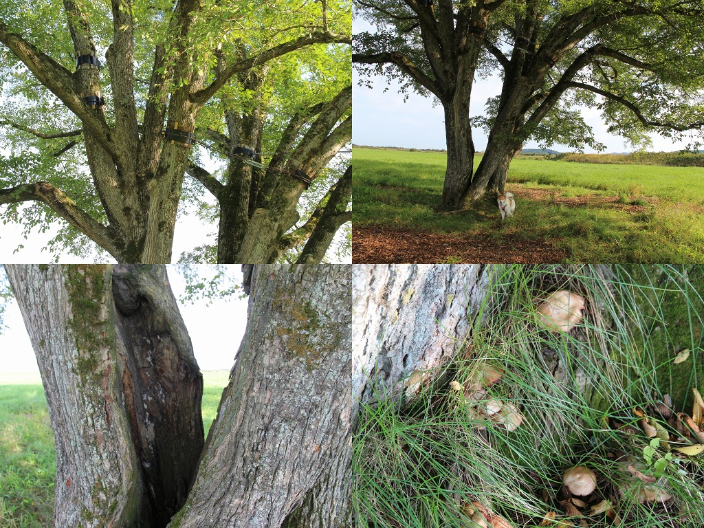 ファイル 142-7.jpg