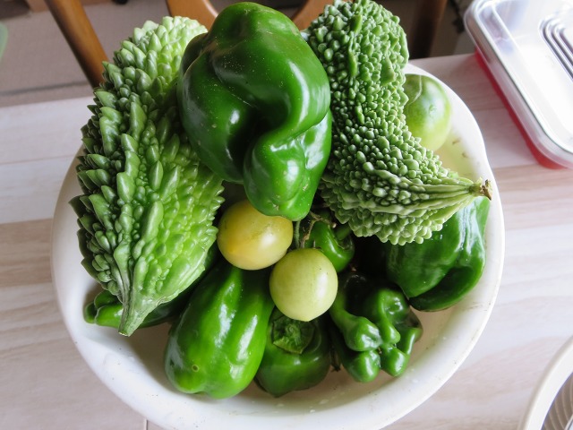 ファイル 145-4.jpg