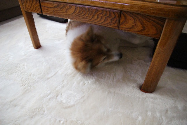 ファイル 145-9.jpg