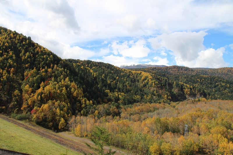 ファイル 146-5.jpg