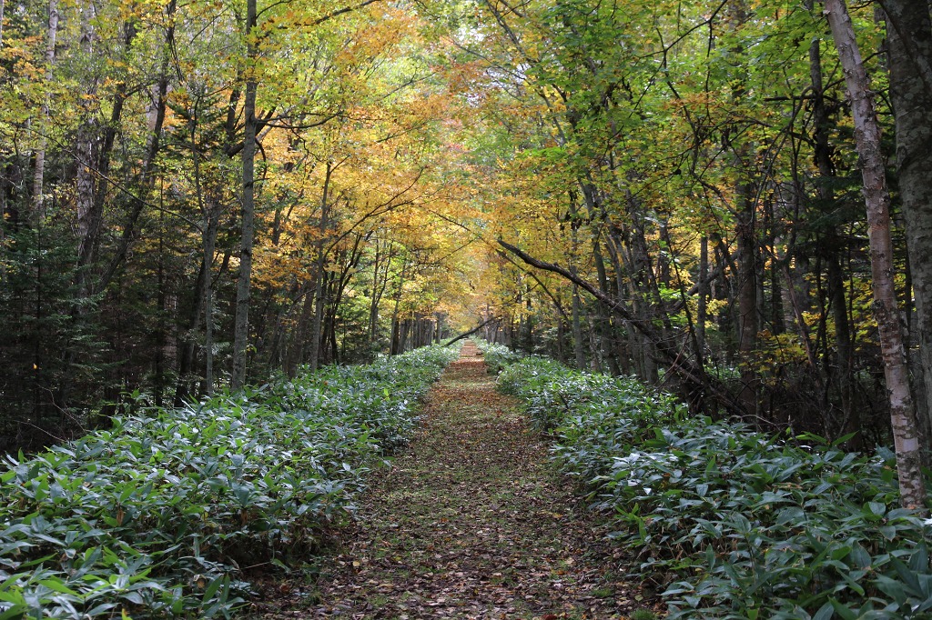 ファイル 148-8.jpg