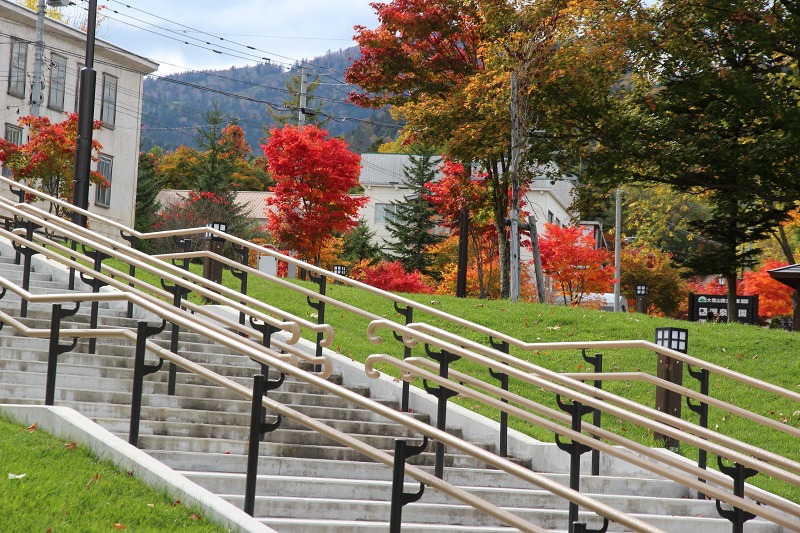 ファイル 149-3.jpg